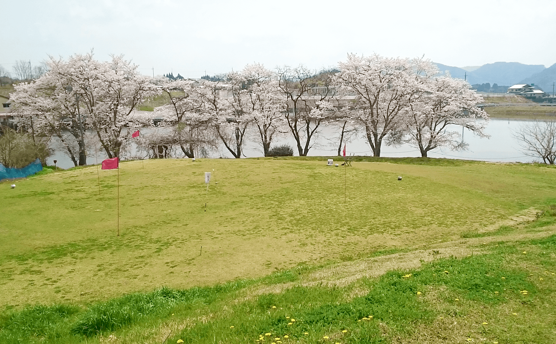 緑ヶ丘ゴルフ練習場　グリーン